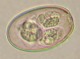 Thumbs/tn_IRR278.jpg