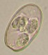 Thumbs/tn_IRR280.jpg