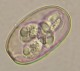 Thumbs/tn_IRR281.jpg