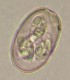Thumbs/tn_IRR285.jpg