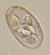 Thumbs/tn_IRR293.jpg
