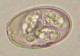 Thumbs/tn_IRR294.jpg