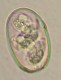 Thumbs/tn_IRR298.jpg