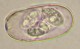 Thumbs/tn_IRR300.jpg