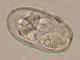Thumbs/tn_IRR302.jpg