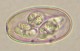 Thumbs/tn_IRR306.jpg