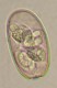 Thumbs/tn_IRR311.jpg
